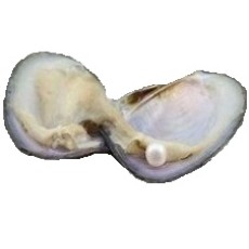 Freshwater (+$10.80)